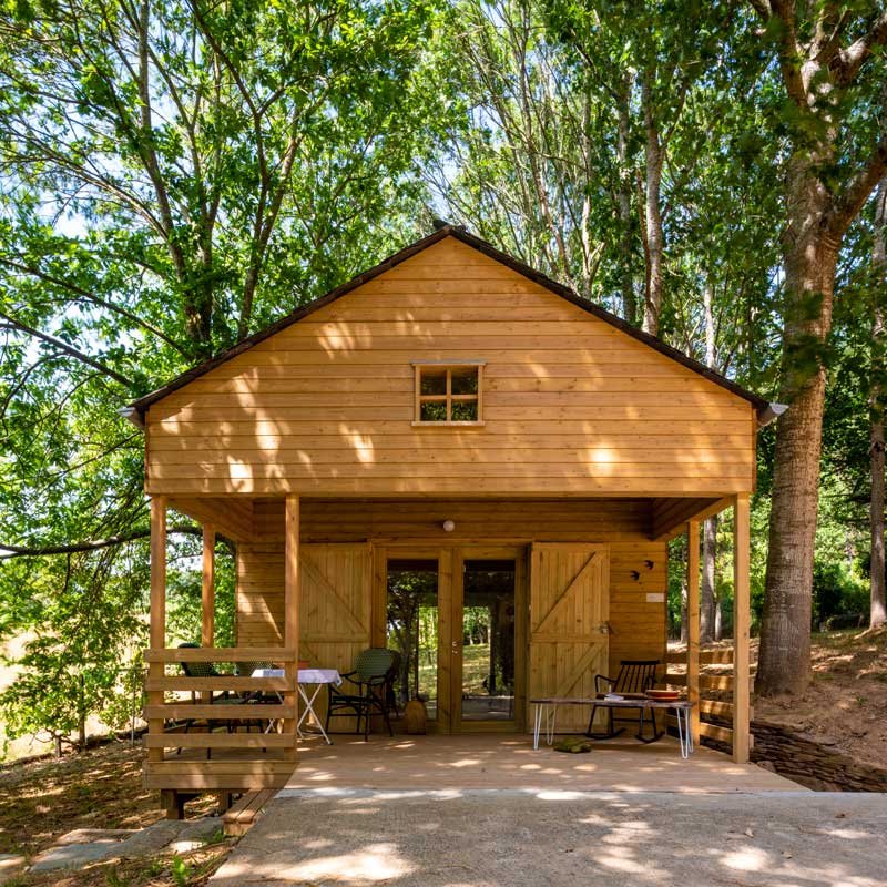 refugio-madera-arboles-cabaña-luz