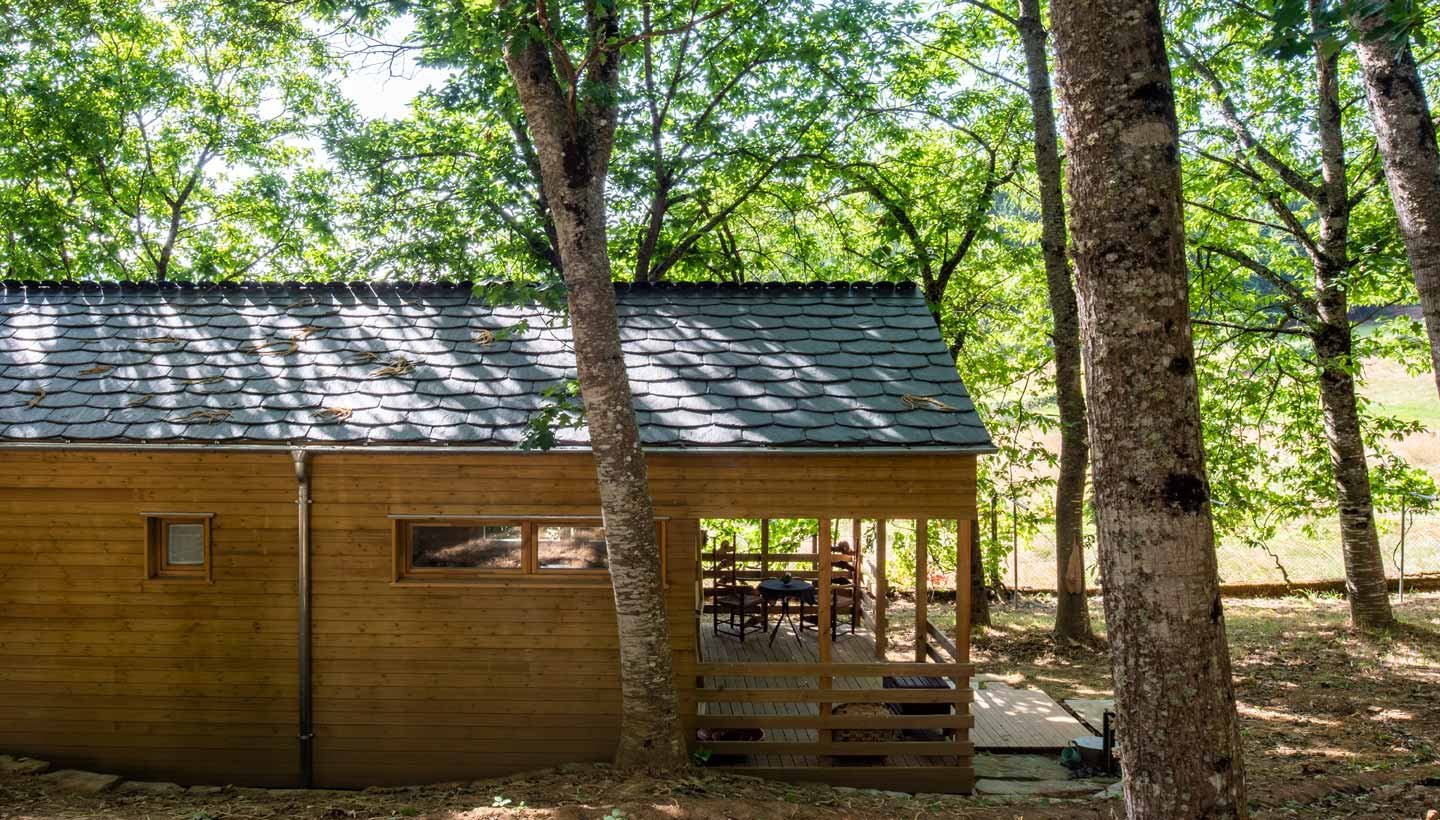 refugio-madera-bosque-luz-sombra